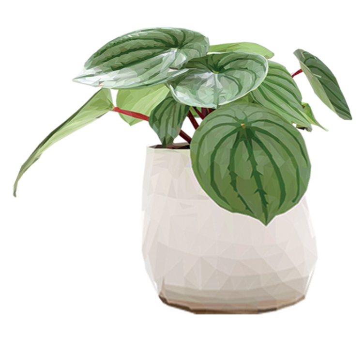 Floral vinyl rug simple houseplant design - TenStickers