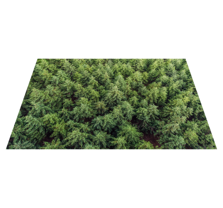 Aerial Forest View nature vinyl rug - TenStickers