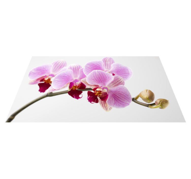 Pink orchid design floral vinyl rug - TenStickers