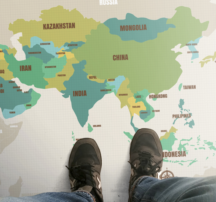 Cartographic Decor world map vinyl rug - TenStickers