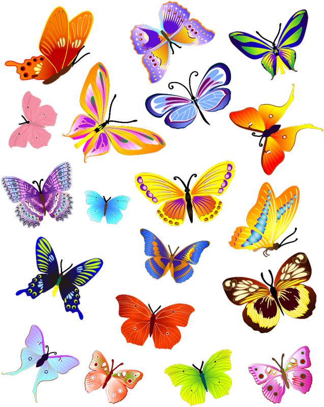 Animal vinyl rug multicolor butterfly sticker - TenStickers