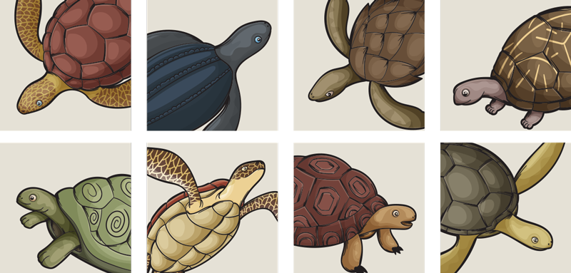 Animal vinyl rug variety of turtle tiles - TenStickers