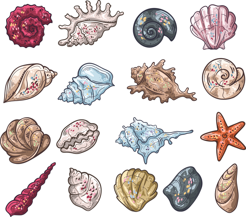 Animal vinyl rug seashell drawings - TenStickers