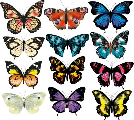 Animal vinyl rug with butterfly illustration - TenStickers