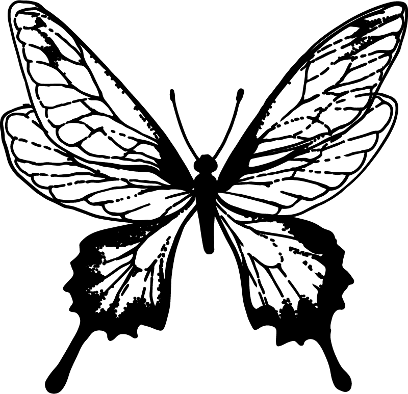 Graceful butterfly outline animal vinyl rug - TenStickers