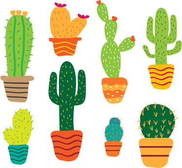 Floral vinyl rug colorful cactus set - TenStickers