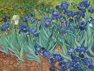 Floral vinyl rug with van gogh blooms - TenStickers