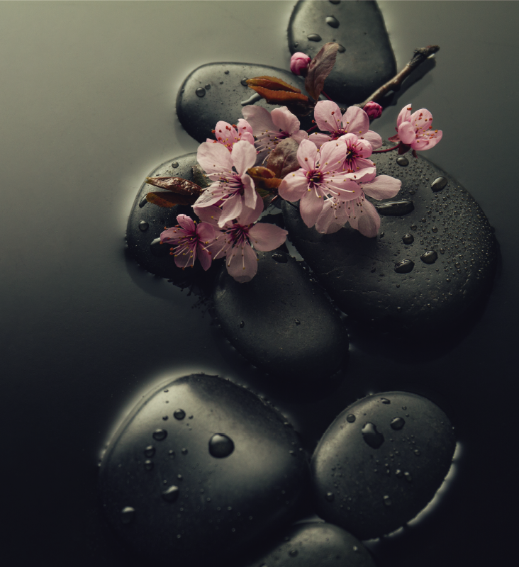 Nature vinyl rug for a zen stone toilet ambiance - TenStickers
