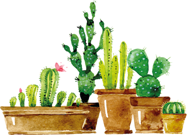 Floral vinyl rug with diy cactus garden design - TenStickers