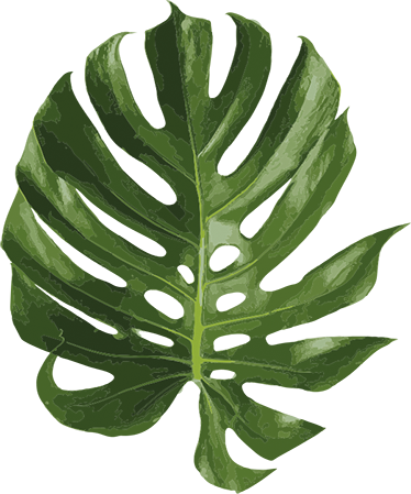 Floral vinyl rug with tasty monstera leaf design - TenStickers