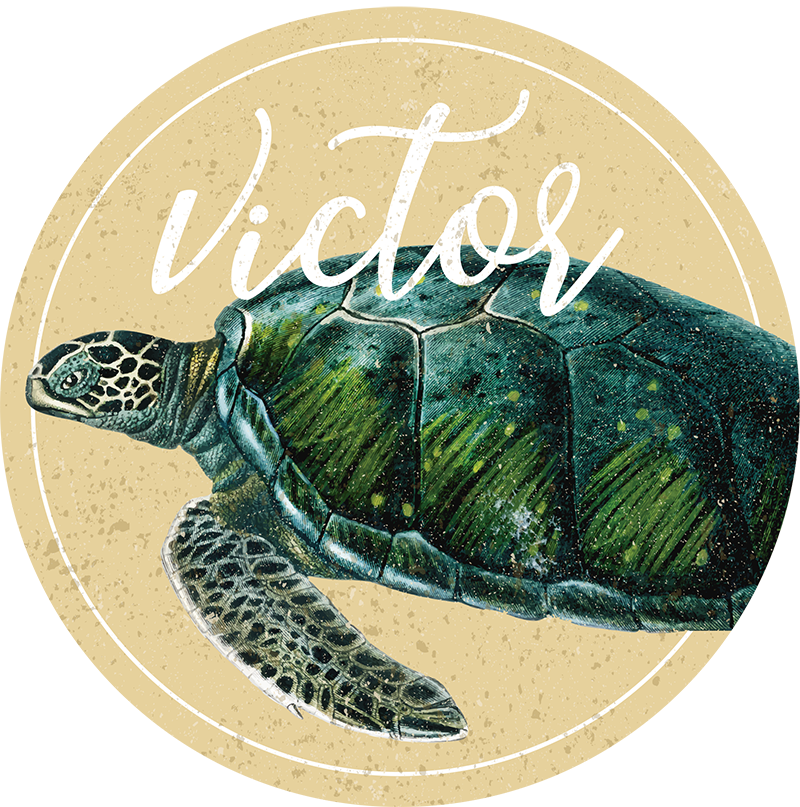 Personalized Turtle custom vinyl rug - TenStickers