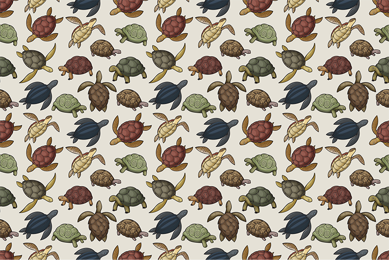 Turtle Illustration animal vinyl rug - TenStickers