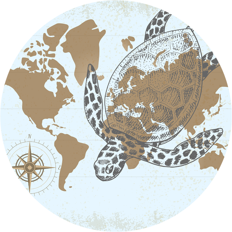 Turtle map  animal vinyl rug - TenStickers