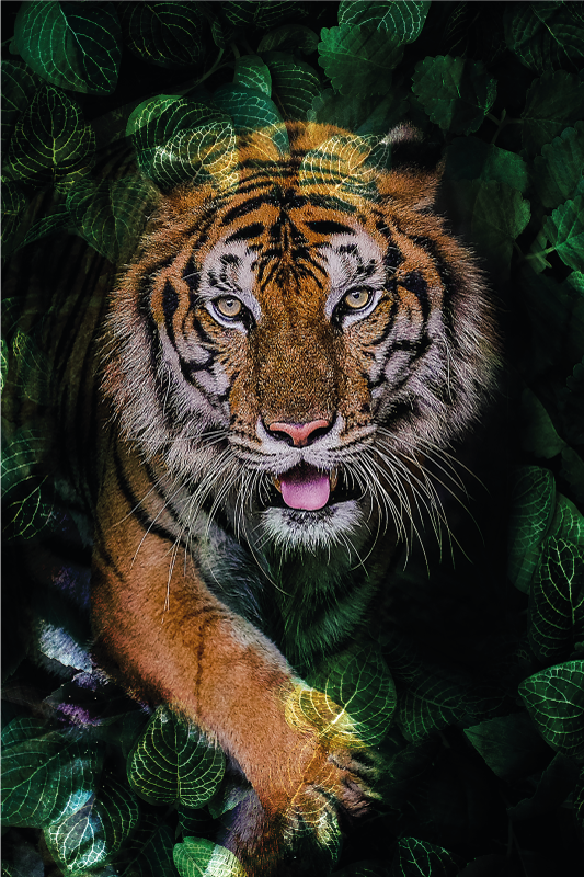 Wildness of a tiger bedroom vinyl rug - TenStickers