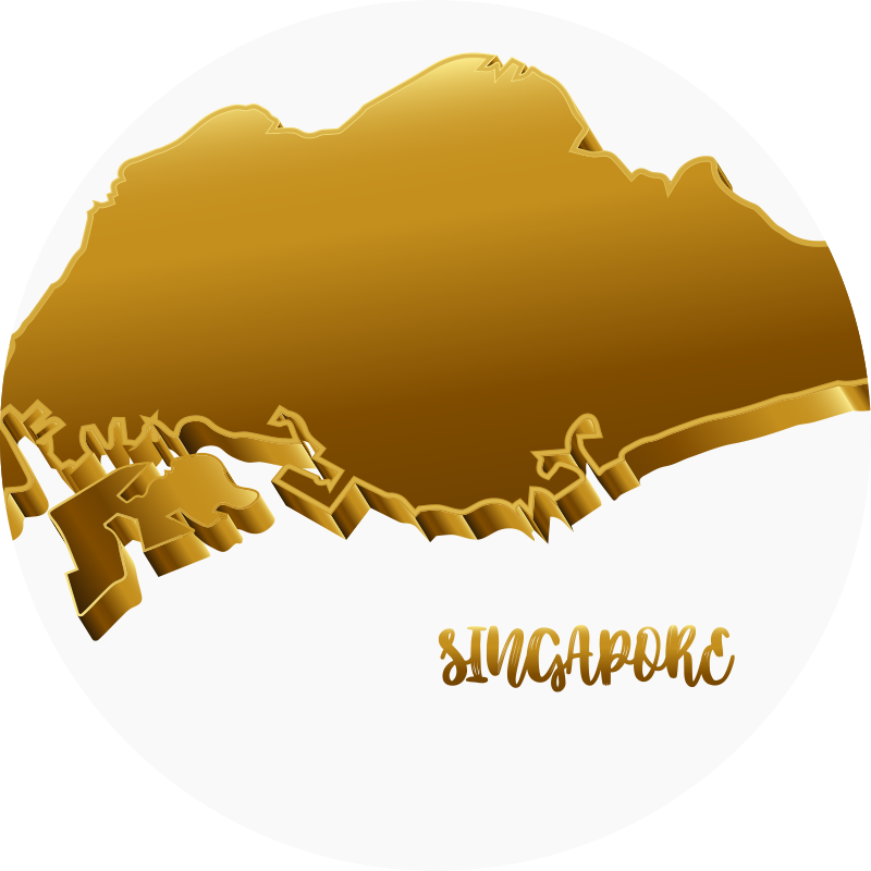 Singapore golden map world map rug - TenStickers