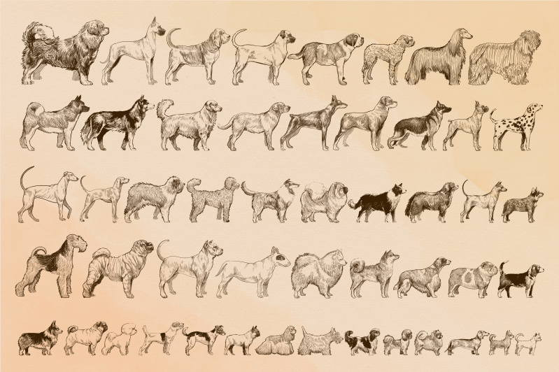 Beige dog illustrations animal vinyl rug - TenStickers