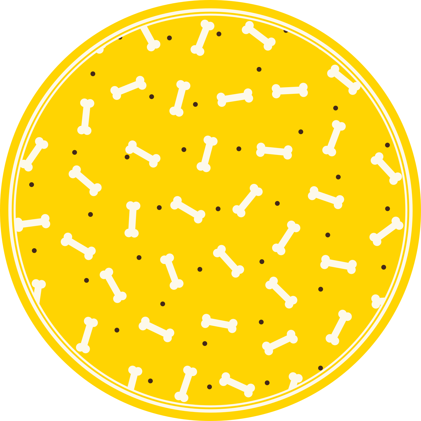 Yellow Bone Pattern animal vinyl rug - TenStickers