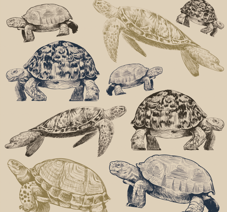 Turtles beige background Animal Wallpaper - TenStickers